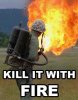 killitwithfire.jpg