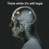 braincamera.jpg