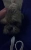 VZM.IMG_20161002_213746.jpg