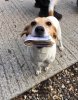 fred is rich boye.jpg