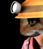 mengineer.jpg