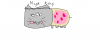 nyn kat.png