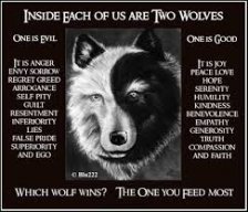 Wolf_Tamer87