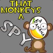 monkey