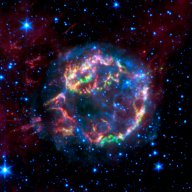 Nova